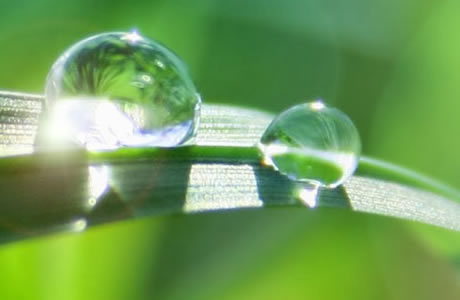 terapia cognitivo comportamentale
